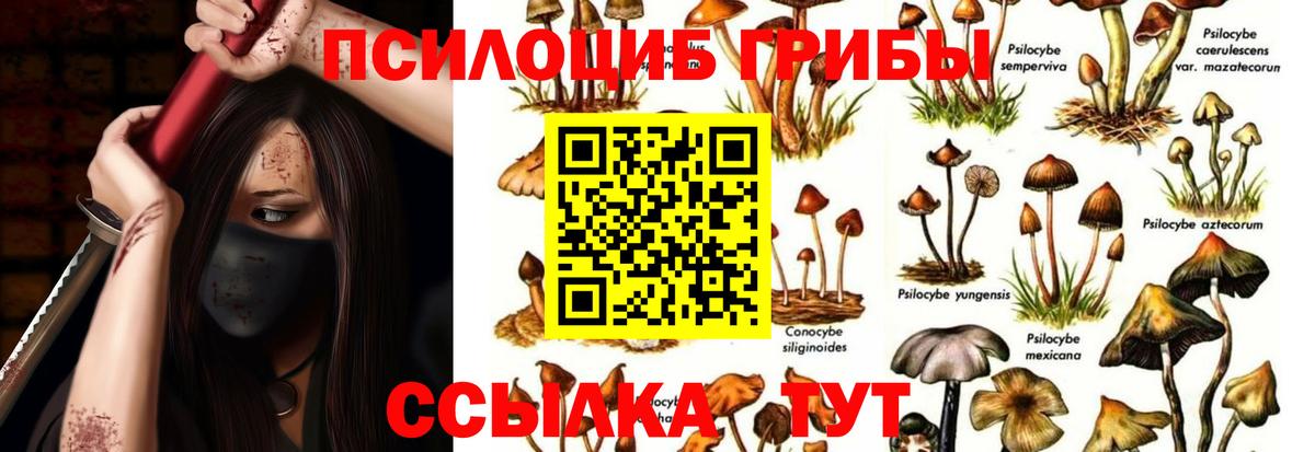 Псилоцибиновые грибы прущие грибы Советская Гавань