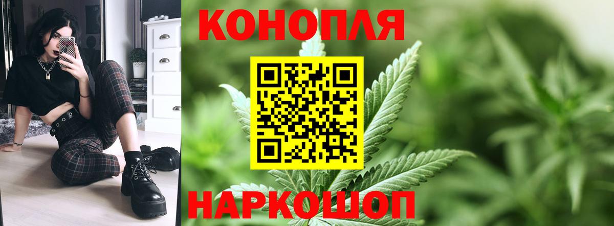 Шишки марихуана сатива Советская Гавань